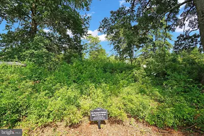8905 Valley Forge Drive, Alexandria, VA 22309 - Photo 30