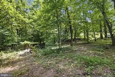 4529 Eaton Place, Alexandria, VA 22310 - Photo 6