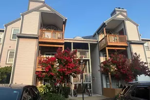 6905 Victoria Dr, Alexandria, VA 22310 - Photo 1