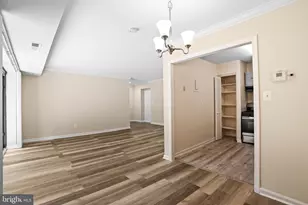 6141 Leesburg Pike, Falls Church, VA 22041 - Photo 12