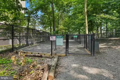 5904 Mount Eagle Drive #1214, Alexandria, VA 22303 - Photo 100