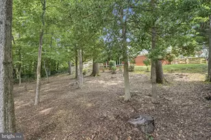 6922 Sydenstricker Rd, Springfield, VA 22152 - Photo 62