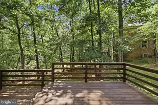 10811 Midsummer Dr, Reston, VA 20191 - Photo 32