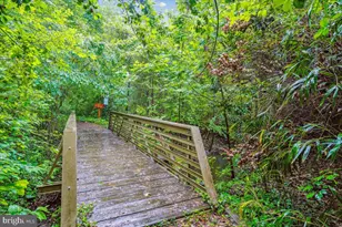 1208 Shenandoah Rd, Alexandria, VA 22308 - Photo 34