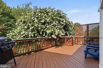 7333 Hampton Manor Place, Springfield, VA 22150 - Photo 32