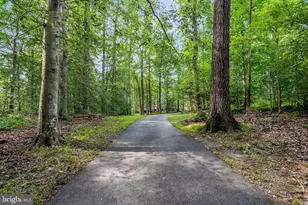 7430 Clifton Rd, Clifton, VA 20124 - Photo 78