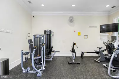8406 Mountain Larkspur Dr Drive, Lorton, VA 22079 - Photo 64