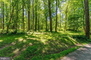 518 Goldsmith Ln, Great Falls, VA 22066 - Photo 22