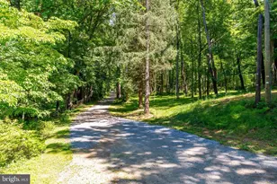 518 Goldsmith Ln, Great Falls, VA 22066 - Photo 30