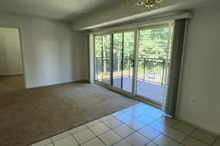 7356 Route 29, Falls Church, VA 22046 - Photo 4