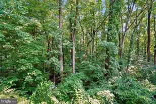 4345 Ivymount Ct, Annandale, VA 22003 - Photo 22