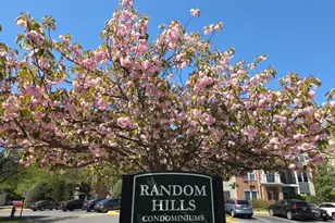 4142 Fountainside Ln, Fairfax, VA 22030 - Photo 42