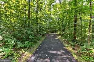 8811 Hayload Ct, Springfield, VA 22153 - Photo 54