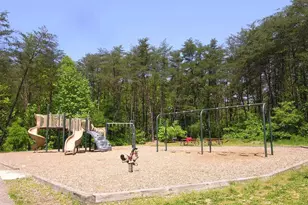 6380 Michael Robert Dr, Springfield, VA 22150 - Photo 18