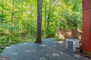 11903 Escalante Ct, Reston, VA 20191 - Photo 6