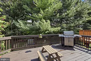 11432 Tiger Lily Ln, Fairfax, VA 22030 - Photo 20