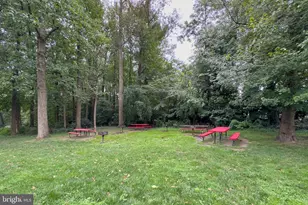 6135 Leesburg Pike, Falls Church, VA 22041 - Photo 22
