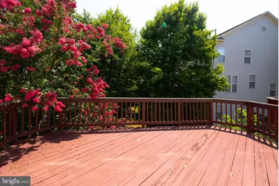 8557 Wyngate Manor Court, Alexandria, VA 22309 - Photo 30