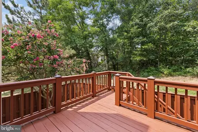 5556 Jowett Court, Alexandria, VA 22315 - Photo 38