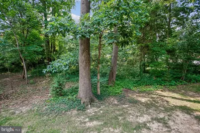 5944 Norham Drive, Alexandria, VA 22315 - Photo 74