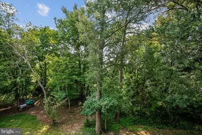 5944 Norham Drive, Alexandria, VA 22315 - Photo 64