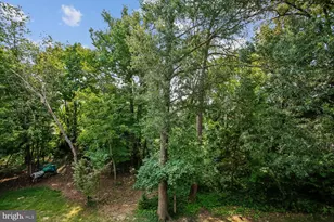 5944 Norham Dr, Alexandria, VA 22315 - Photo 64