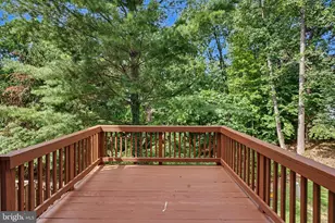 5438 Summer Leaf Ln, Alexandria, VA 22312 - Photo 42