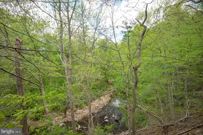 7322 Lackawanna Drive, Springfield, VA 22150 - Photo 14