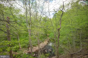 7322 Lackawanna Dr, Springfield, VA 22150 - Photo 14