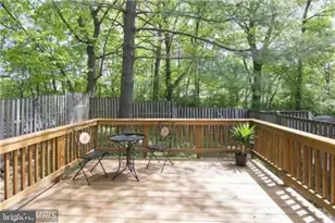 11556 Ivy Bush Ct, Reston, VA 20191 - Photo 6