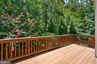 6631 Thurlton Drive, Alexandria, VA 22315 - Photo 28