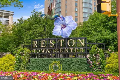 11260 Chestnut Grove Square #337, Reston, VA 20190 - Photo 74