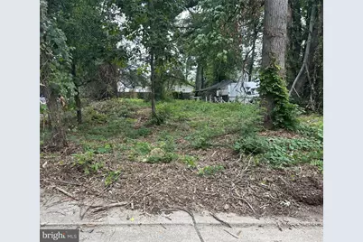 7814 Belvedere Drive, Alexandria, VA 22306 - Photo 1