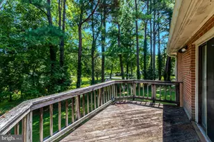 923 Harriman St, Great Falls, VA 22066 - Photo 48