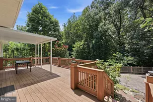 7316 Walnut Knoll Dr, Springfield, VA 22153 - Photo 52
