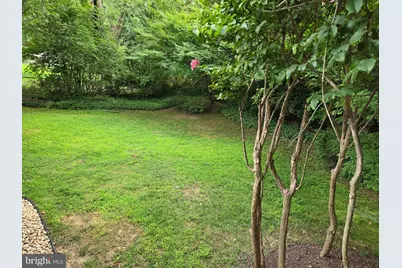 7113 Norwalk Street, Falls Church, VA 22043 - Photo 4