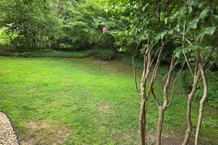 7113 Norwalk St, Falls Church, VA 22043 - Photo 4