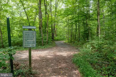 14814 Haymarket Lane, Centreville, VA 20120 - Photo 40