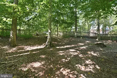 6404 Montrose Street, Alexandria, VA 22312 - Photo 34
