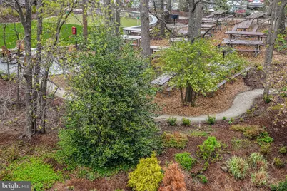 5904 Mount Eagle Drive #718, Alexandria, VA 22303 - Photo 28