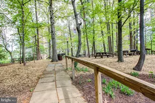 5904 Mt Eagle Dr, Alexandria, VA 22303 - Photo 86