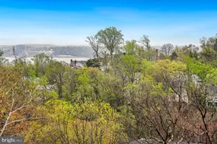 5904 Mt Eagle Dr, Alexandria, VA 22303 - Photo 8