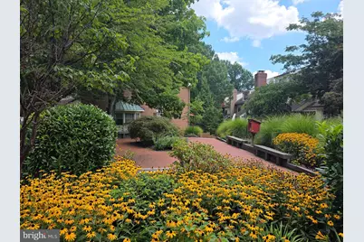 6320 Manchester Way, Alexandria, VA 22304 - Photo 54