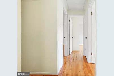 8524 Doter Drive, Alexandria, VA 22308 - Photo 28