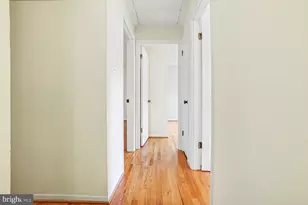 8524 Doter Dr, Alexandria, VA 22308 - Photo 28