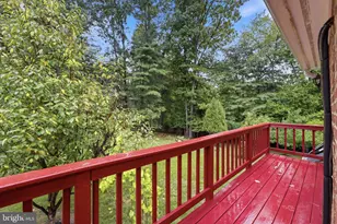 1172 Robindale Dr, Great Falls, VA 22066 - Photo 92