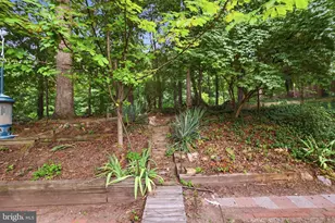 8804 Strause Ct, Springfield, VA 22153 - Photo 44