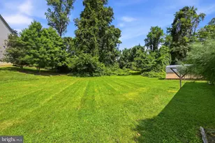5904 Carver Pl, Falls Church, VA 22041 - Photo 4