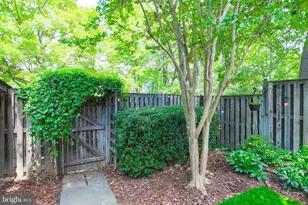 6566 Yadkin Ct, Alexandria, VA 22310 - Photo 28