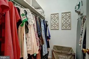3709 S George Mason Dr, Falls Church, VA 22041 - Photo 22